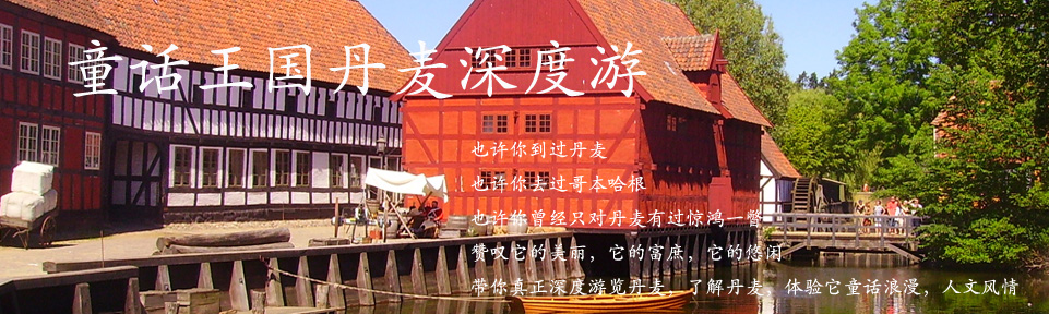 丹麥深度定制